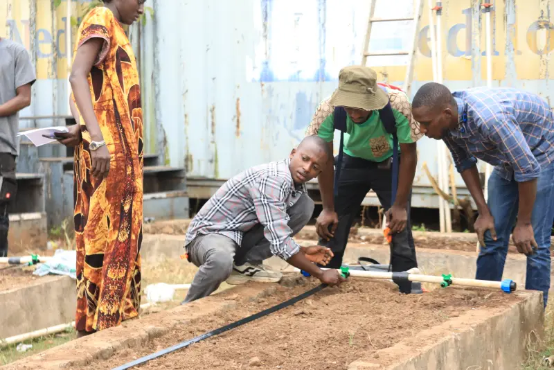 Construction et installation d'irrigation a Saboutech